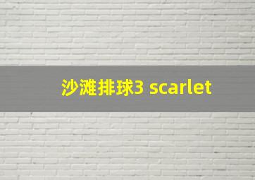 沙滩排球3 scarlet